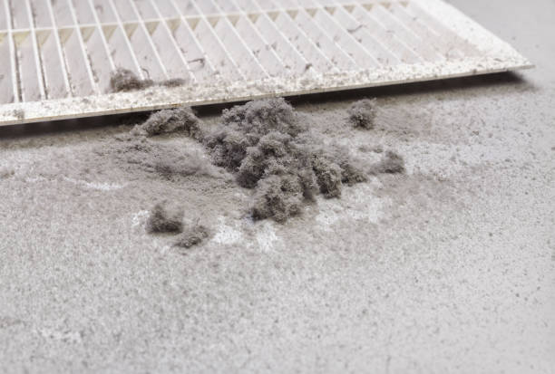 Best Affordable Duct Cleaning Services  in Abernathy, TX