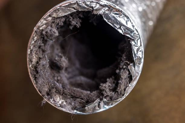 Best Professional Duct Cleaning Services  in Abernathy, TX