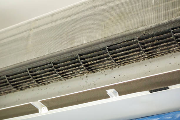 Best Air Duct Cleaning Company Near Me  in Abernathy, TX