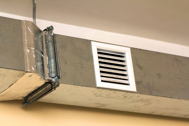 Best Local Air Duct Cleaning Services  in Abernathy, TX
